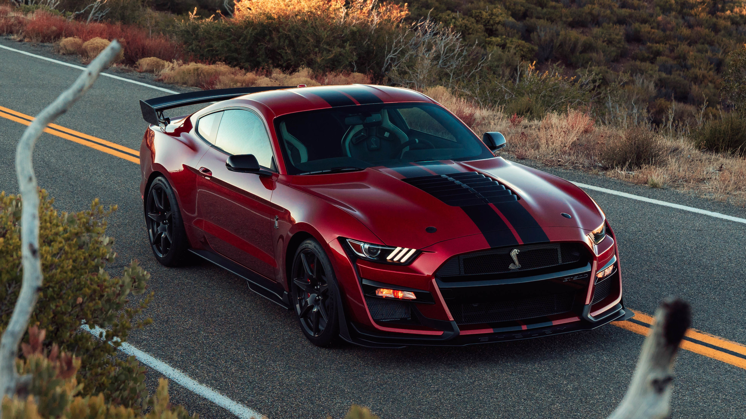 Ford Shelby Mustang 2023